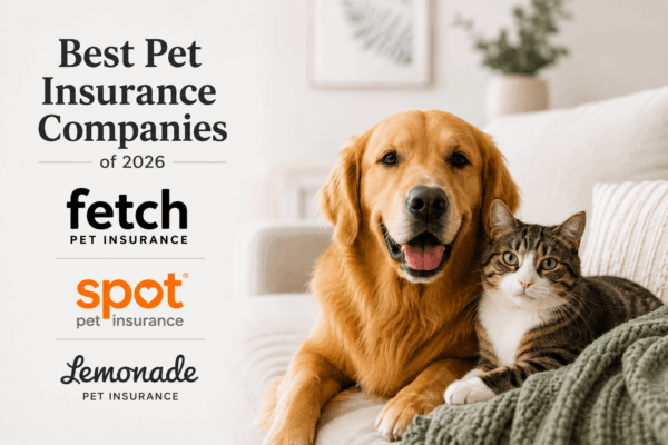 Pet Care